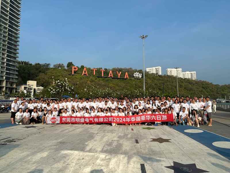 La Chine Shenzhen Mysun Insulation Materials Co., Ltd. Profil de la société